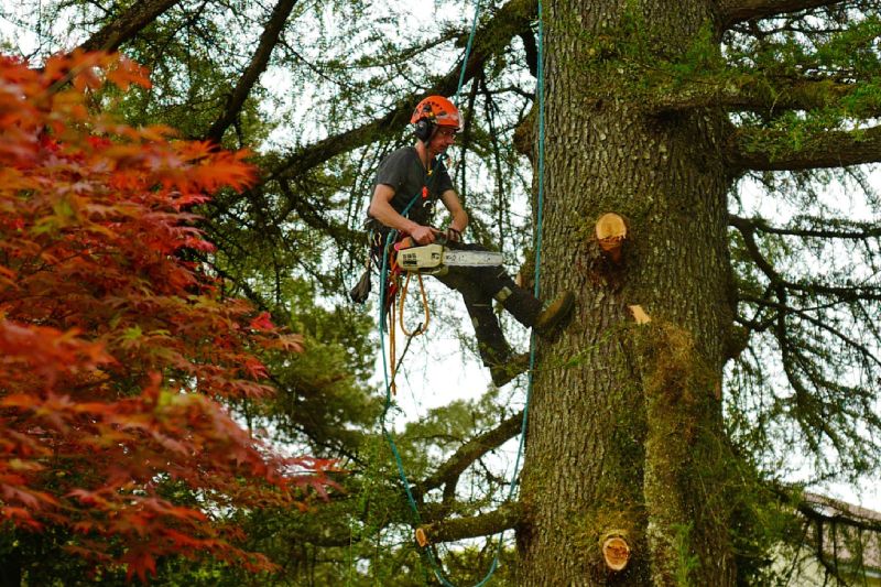 ben with chainsaw